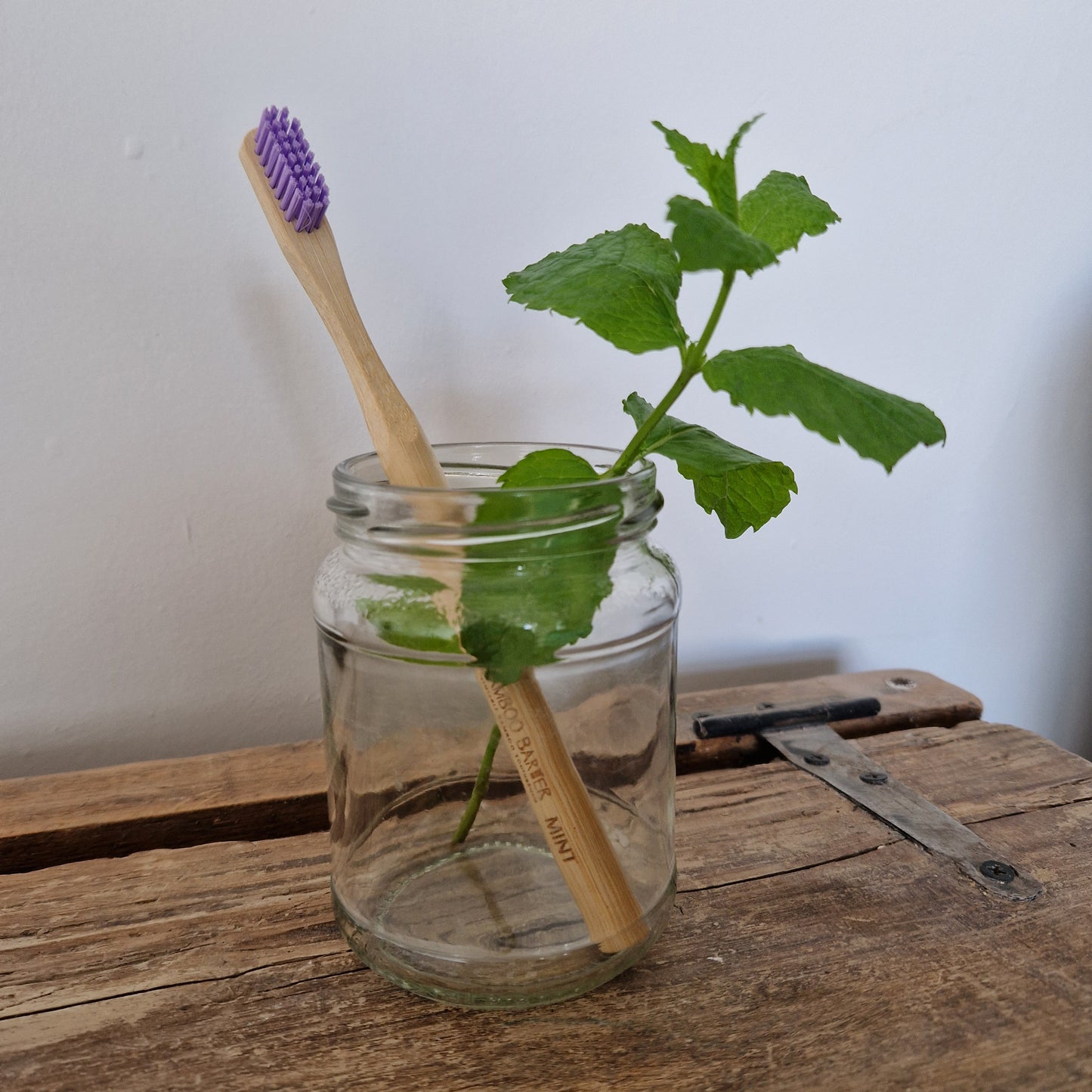 Bamboo Toothbrush with Seeds - Pack of 4