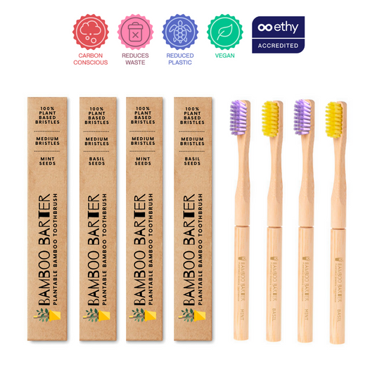 4 bamboo toothbrushes with yellow bristles and purple bristles outside the packaging.