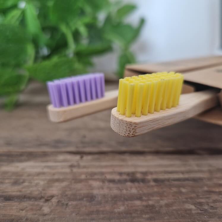 Two bamboo toothbrush heads with purple bristles and yellow bristles.