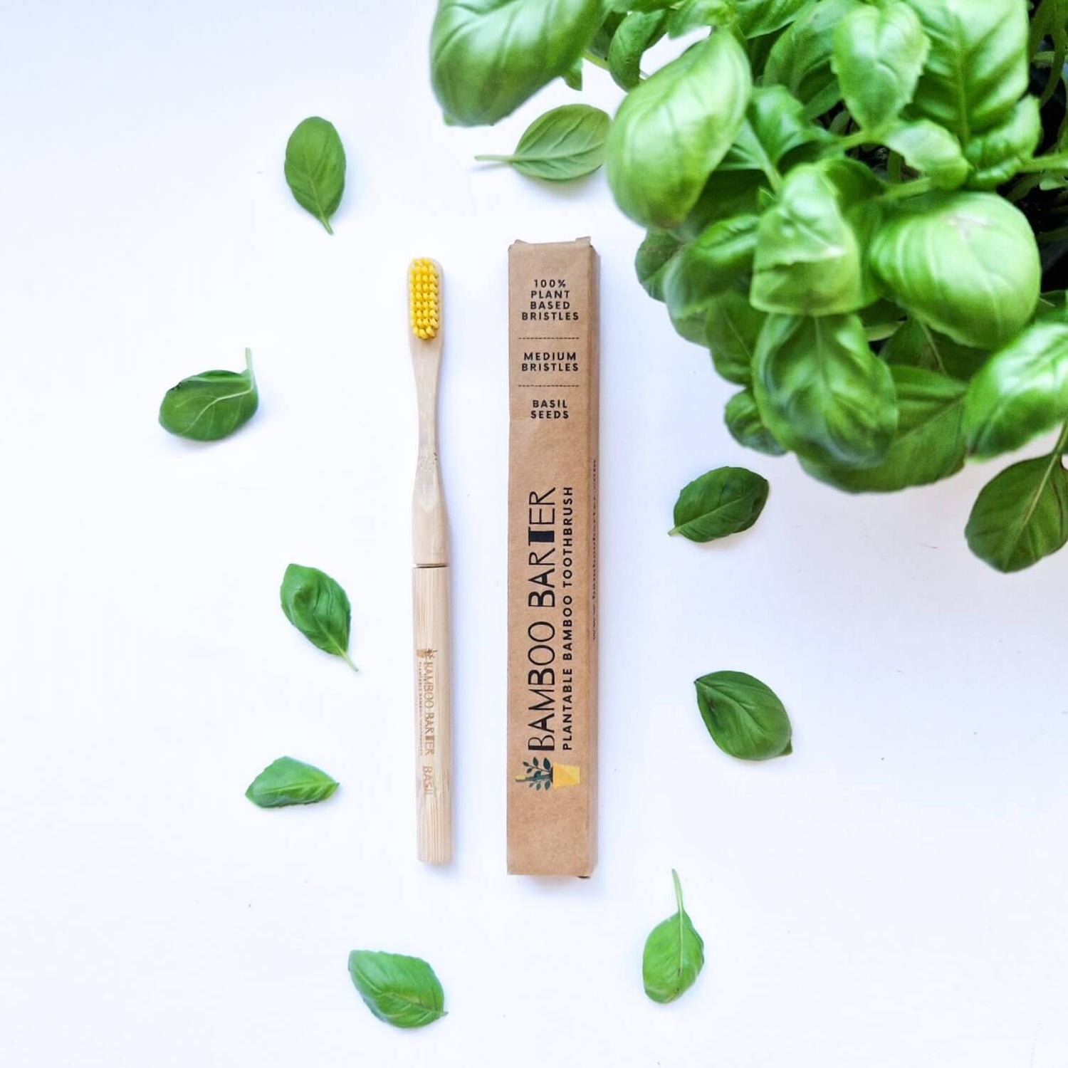 A bamboo toothbrush outside of the packaging with basil leaves and a basil plant.