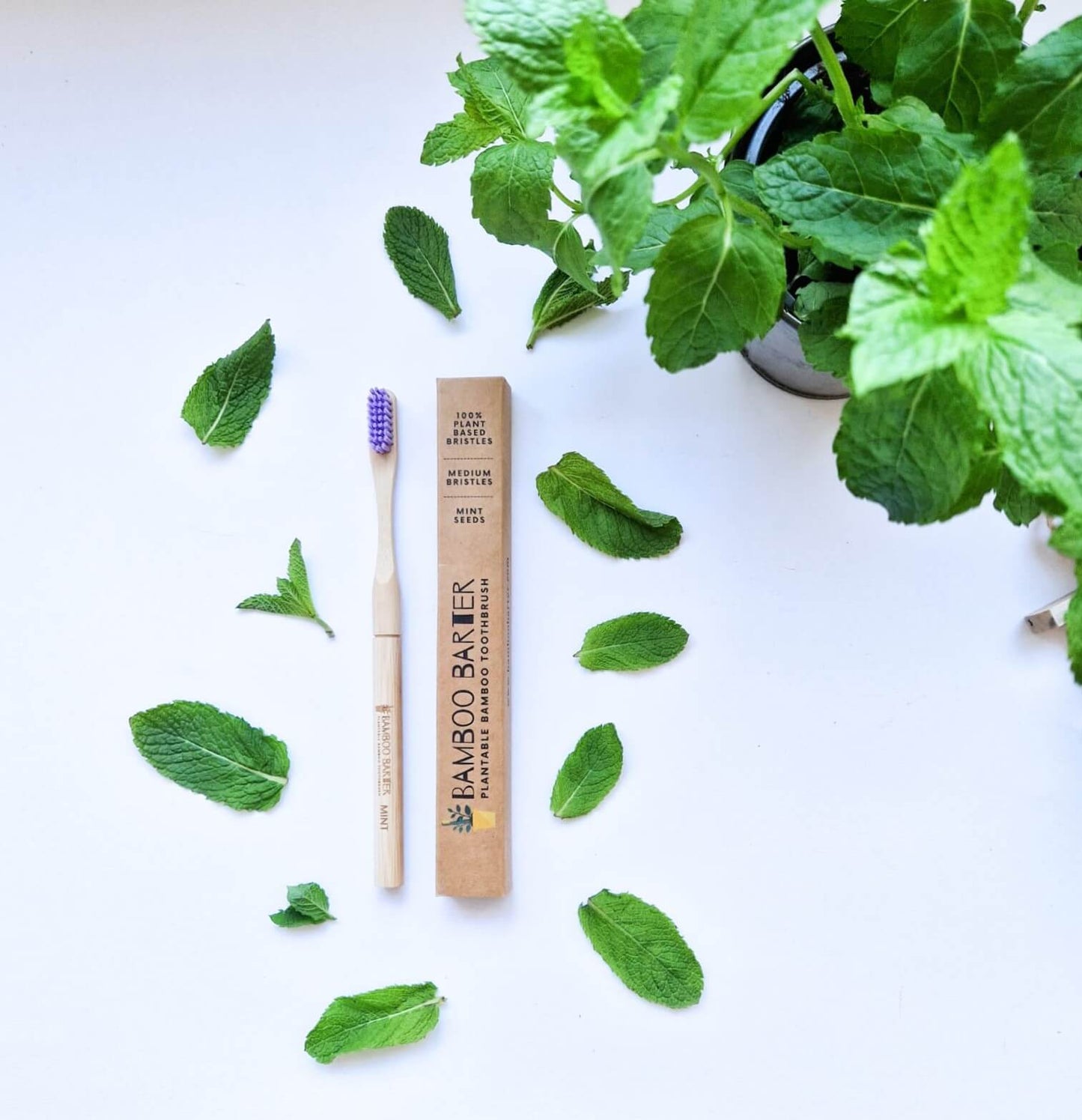 A purple bristle bamboo toothbrush next to its packaging and a mint plant.