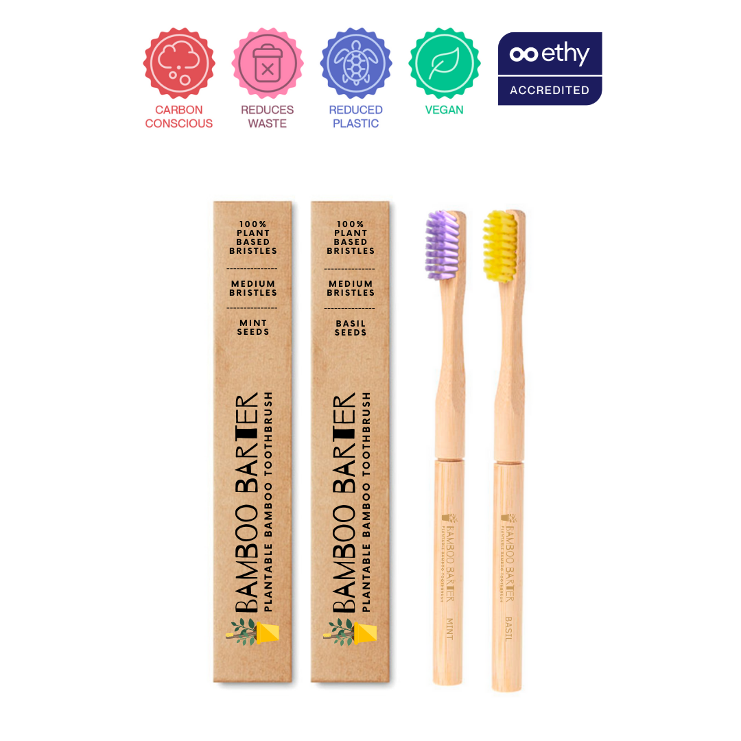Two bamboo toothbrushes outside of the packaging.
